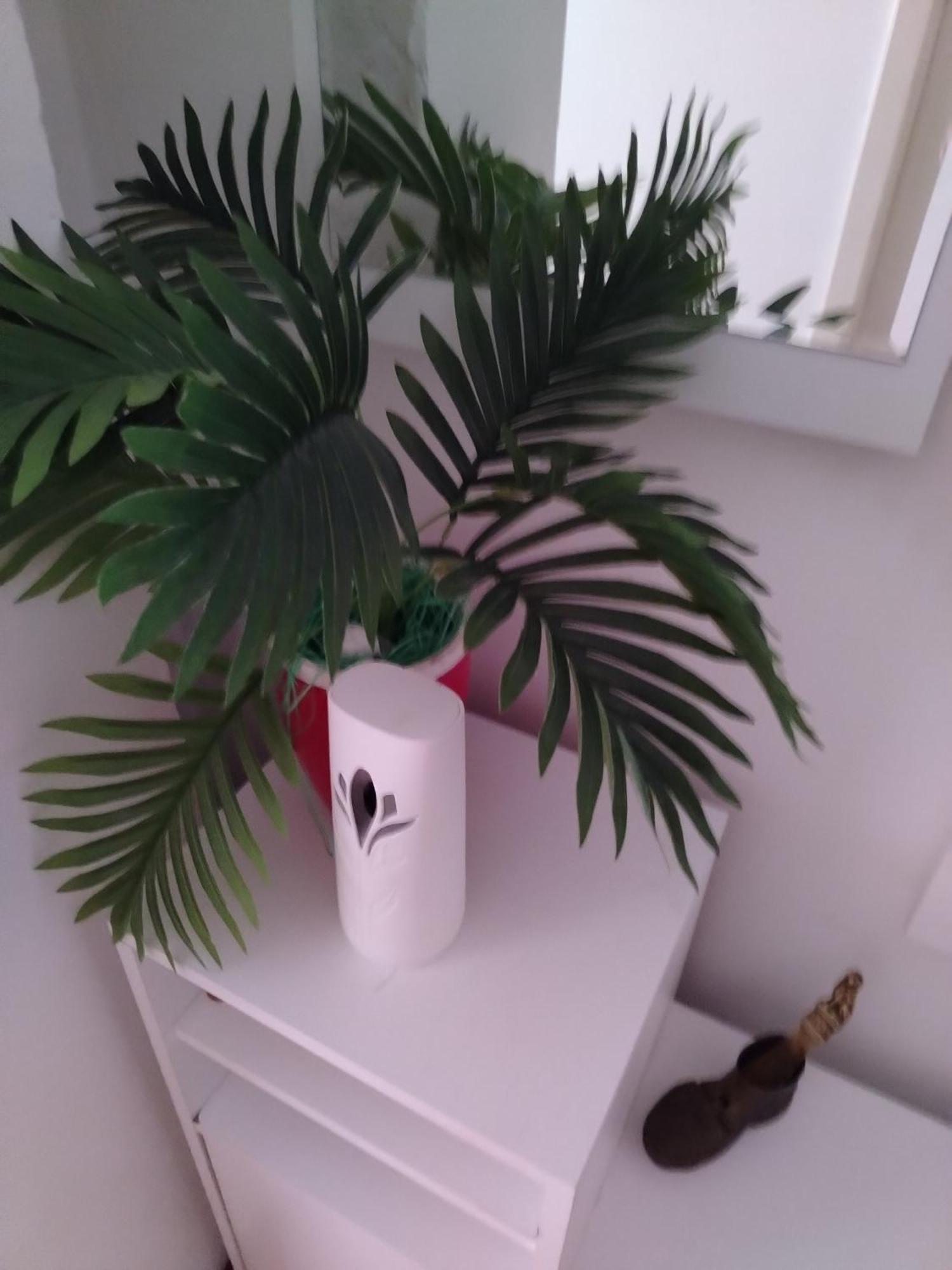 Apartman Mira Požarevac 외부 사진